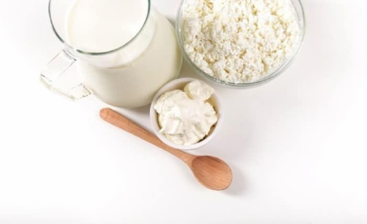 چرا میگن پنیر کاتیج یا کوتاژ مصرف کنید؟+ طرز تهیه کامل