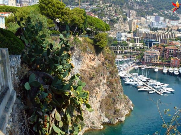  شهر Fontvieille در monaco