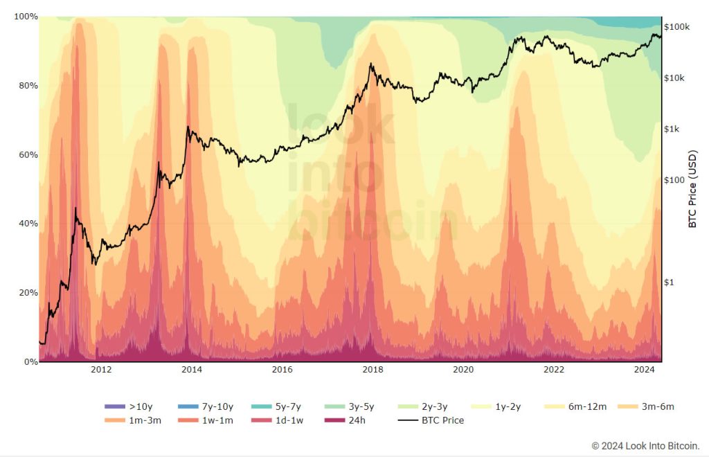 شاخص امواج HODL - منبع: LookIntoBitcoin