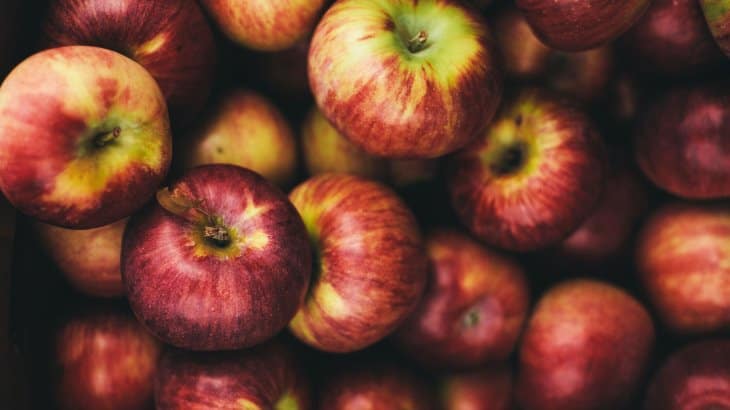 چه غذایی برای استفراغ خوبه چه غذایی برای استفراغ خوبه: سیب