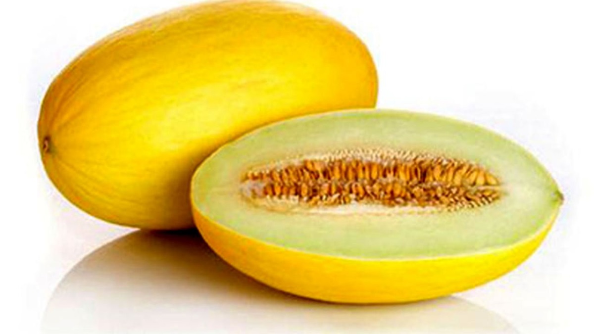خواص خربزه