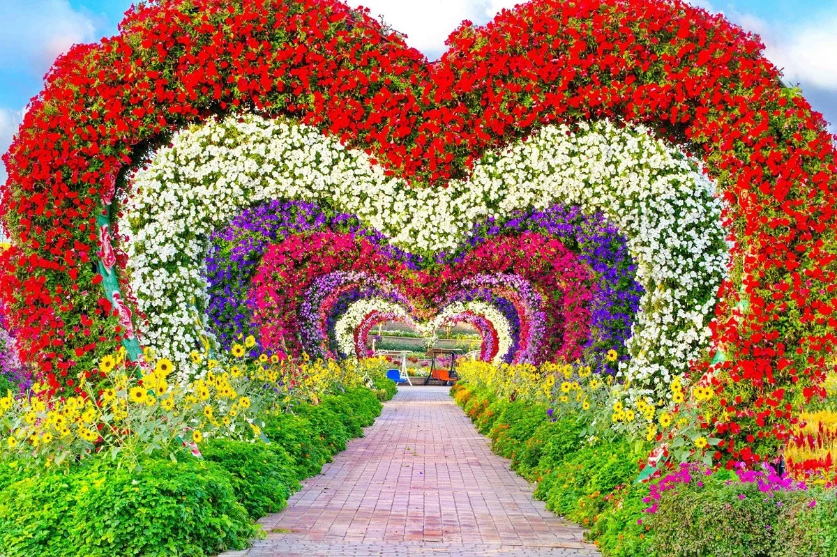 گذر قلب ها در میراکل گاردن دبی