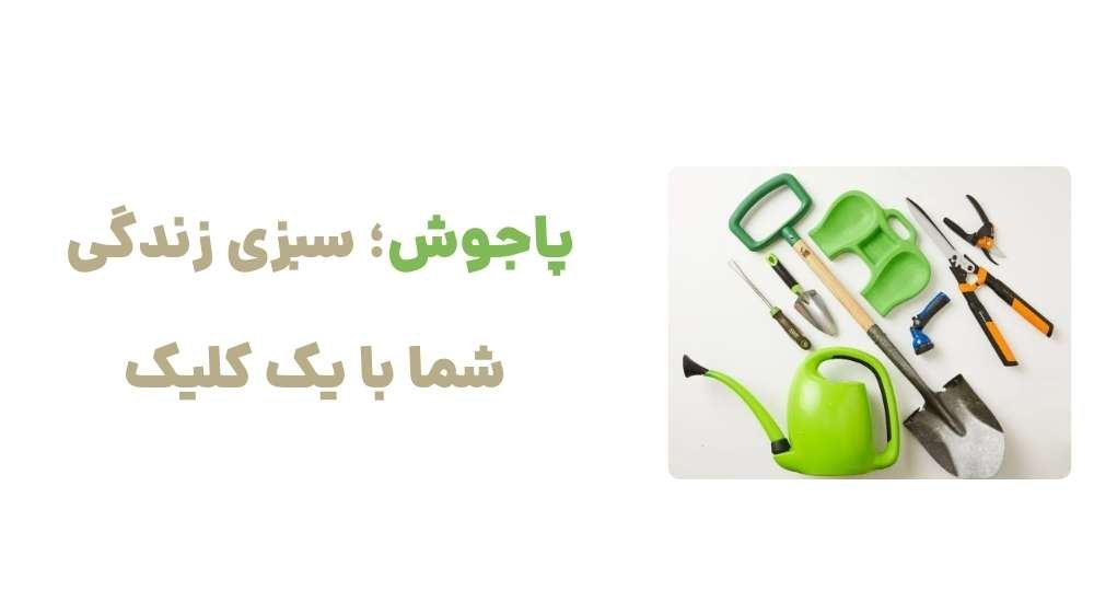 پاجوش؛ سبزی زندگی شما با یک کلیک