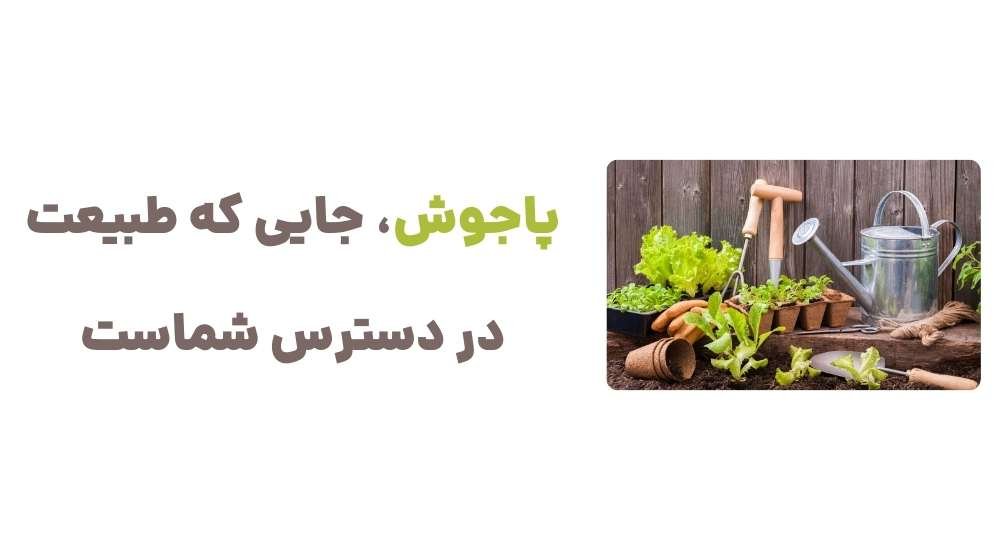 پاجوش، جایی که طبیعت در دسترس شماست